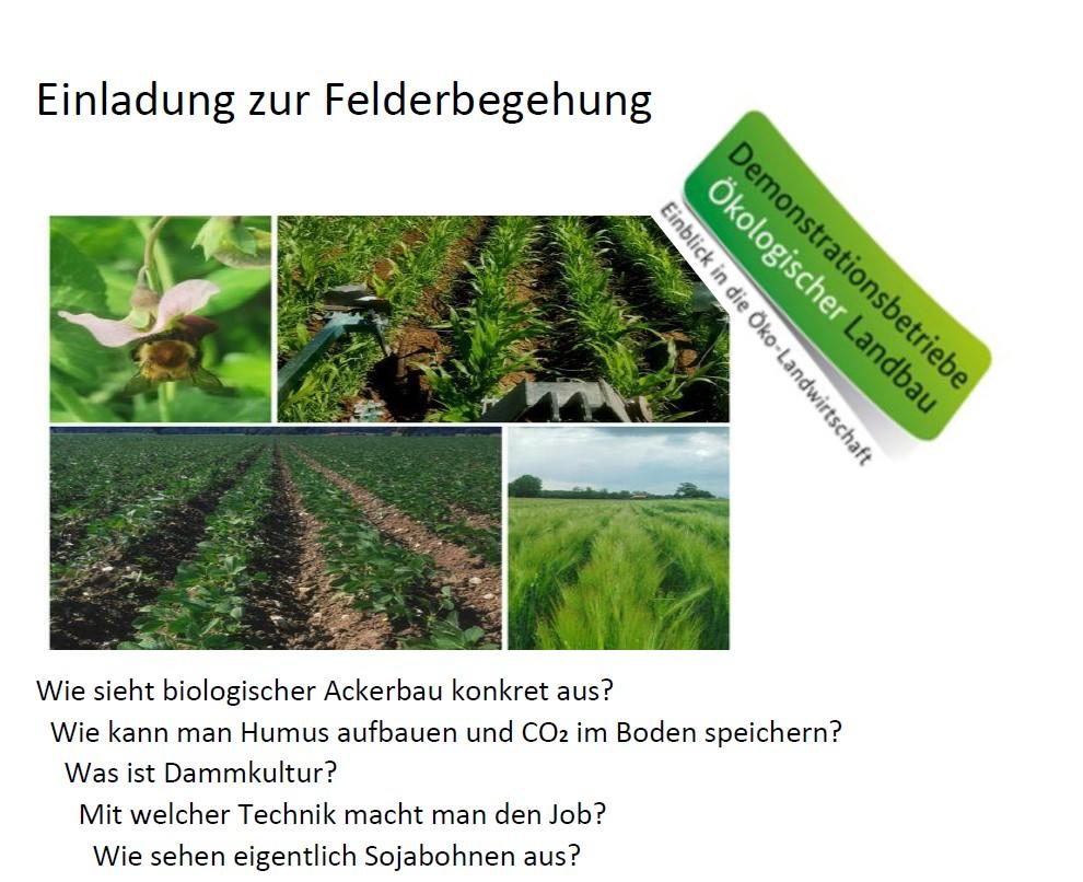 Plakat mit Text