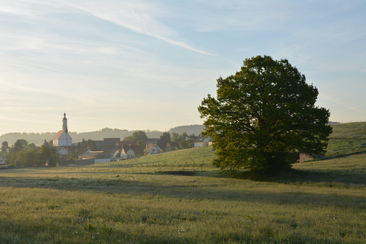 Landschaft