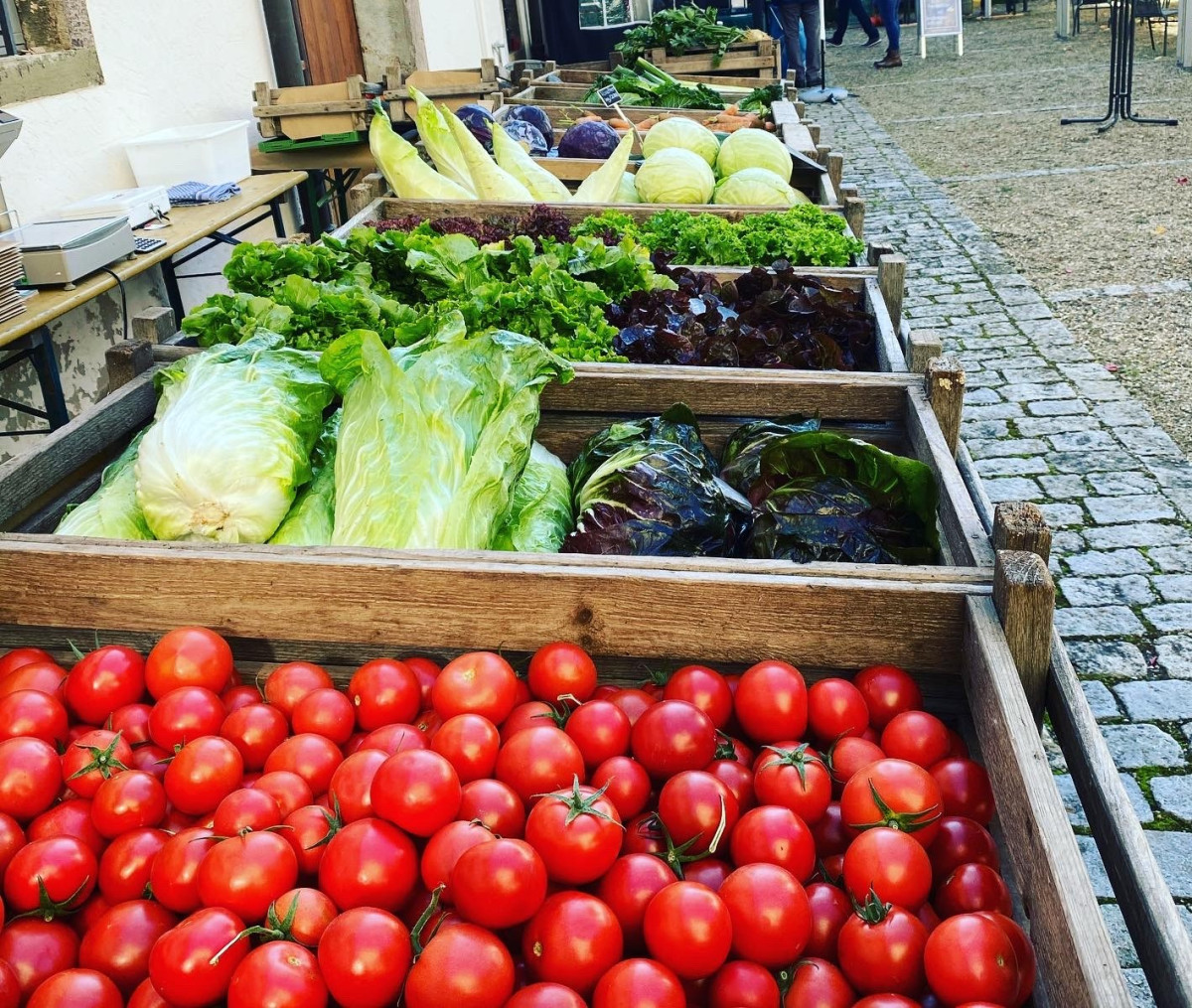 Marktstand mit verschiedenen Gemüse: Tomaten, Fenchel, Kohl
