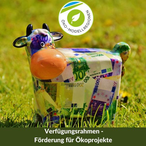 Verfügungsrahmen für Öko-Kleinprojekt