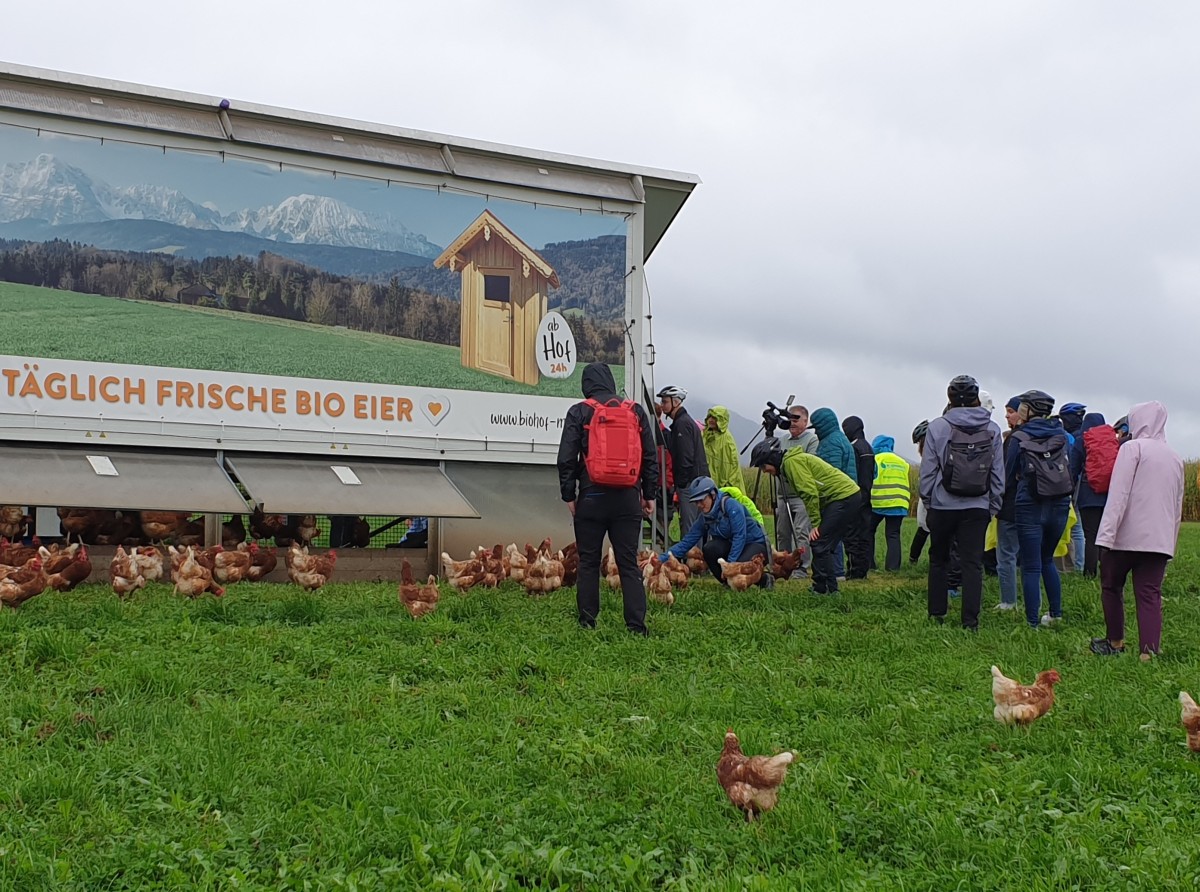 Besichtigung des biozertifizierten mobilen Hühnerstalls der Familie Meier in Ufering.