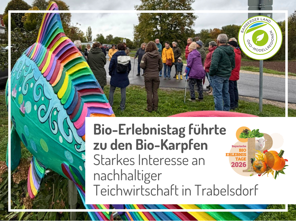 Personen stehen im Kreis, daneben eine bunte Karpfenskulptur