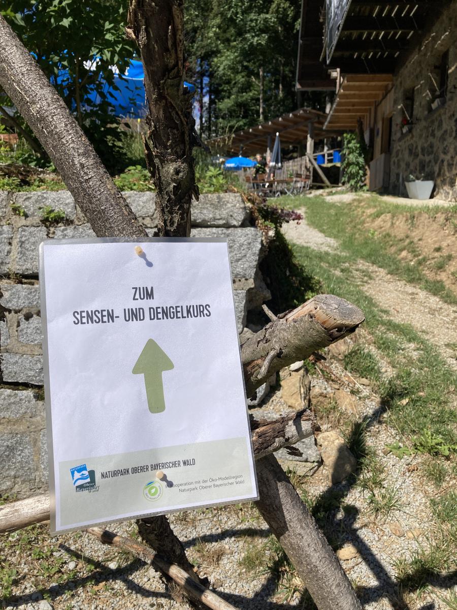Sensenkurs