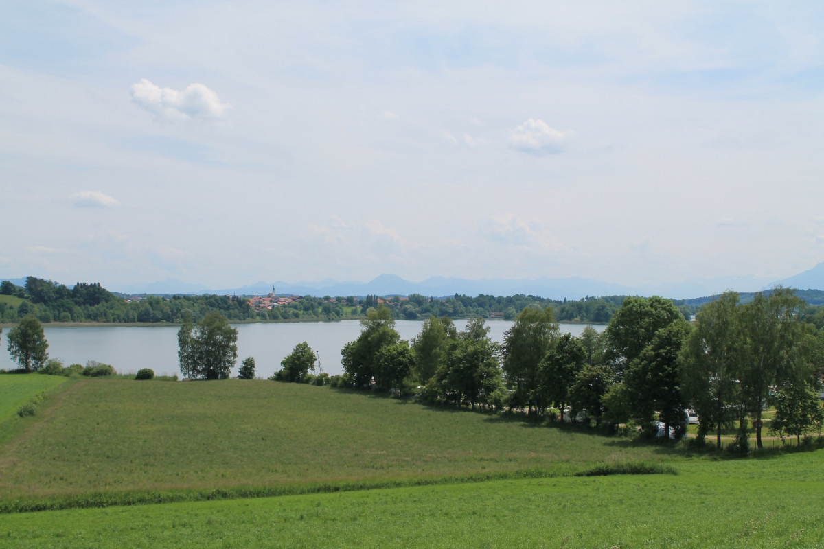 Tachinger See