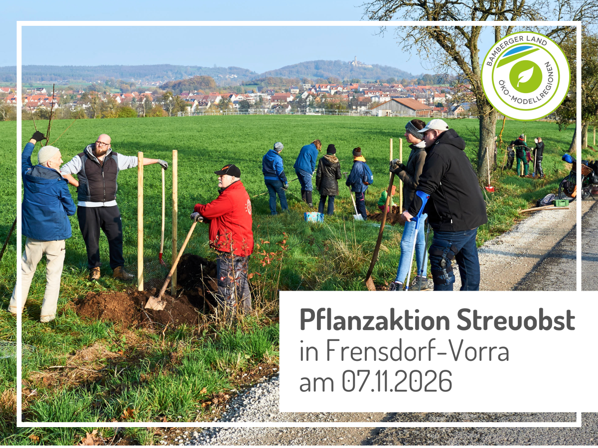 Personen stehen auf einer Wiese bei einer Baumpflanzung