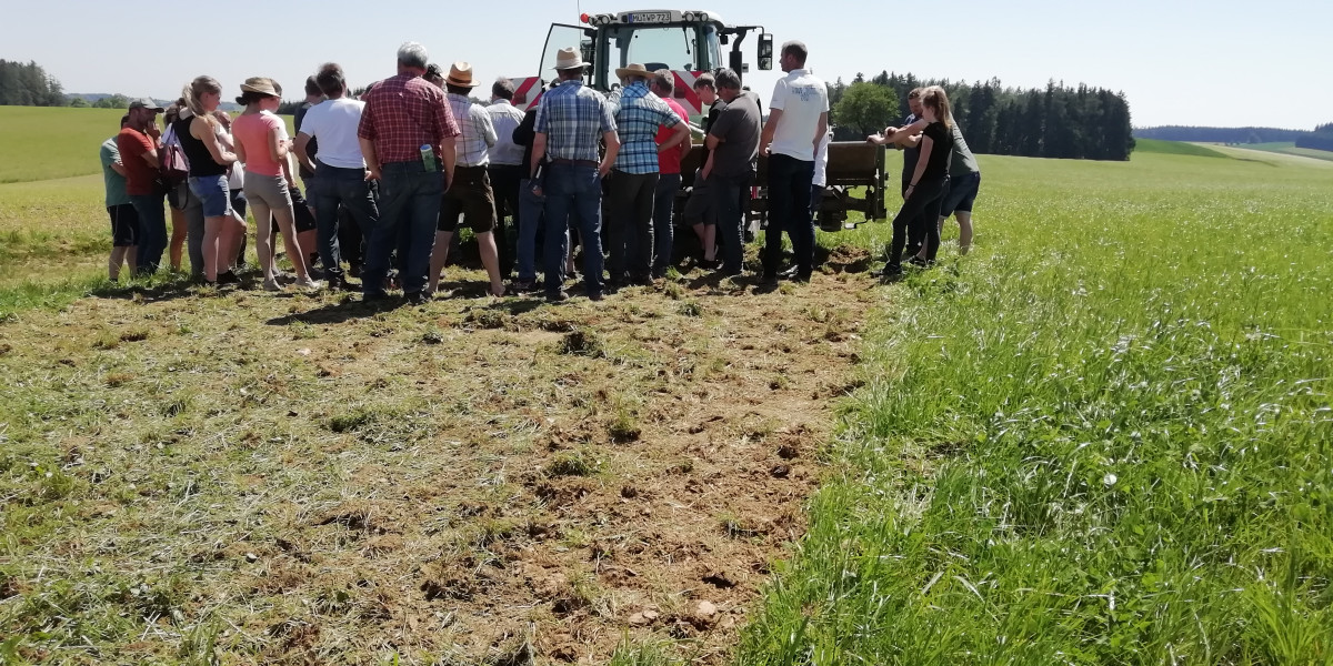 Landwirte treffen sich bei einer Feldexkursion am Acker