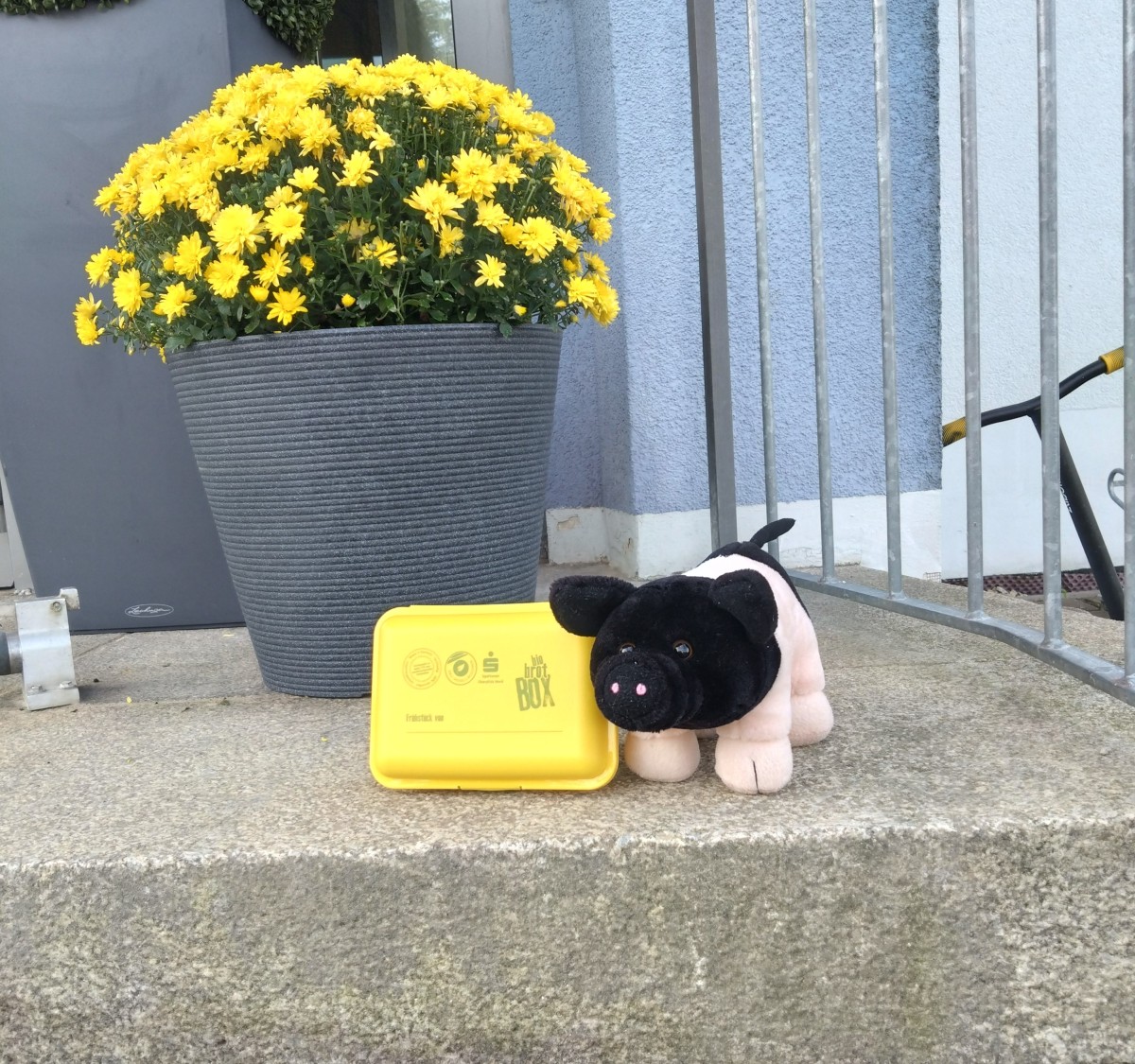 Kuscheltierschwein, Brotbox und Blumenkübel am Eingang eines Gelbäudes