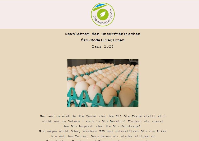 Screenshot vom Newsletter