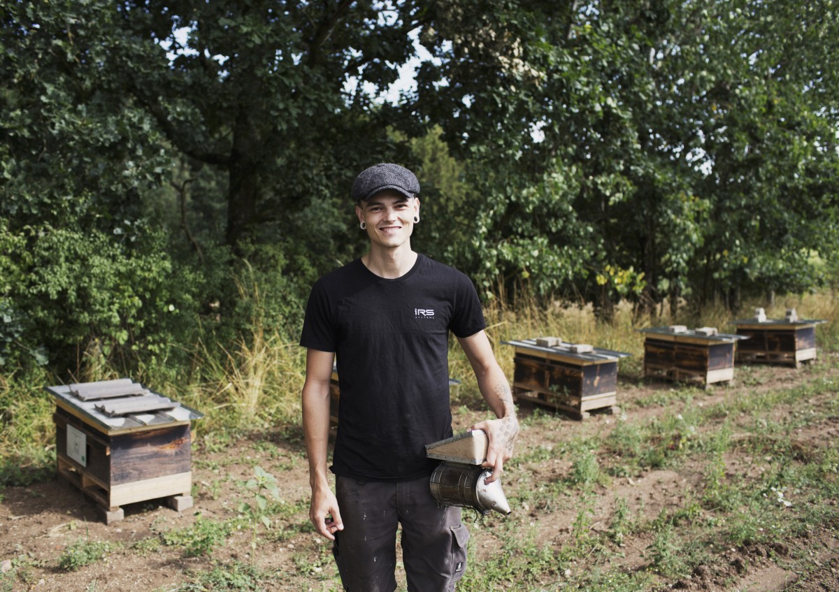Imker Matthias Fink prüft seine Bienenstöcke