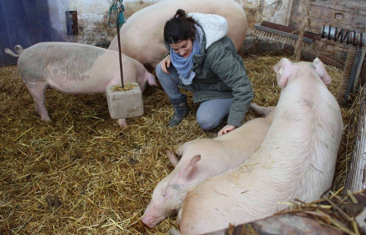 Für Markus Kroiß und Angy hat Tierwohl oberste Priorität. Deshalb werden die Schweine im Freigehege mit viel Stroh gehalten.