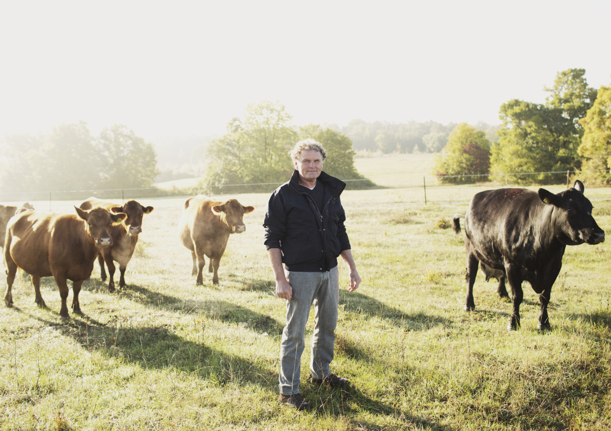 Mann auf einer Weide, im Hintergrund Rinder