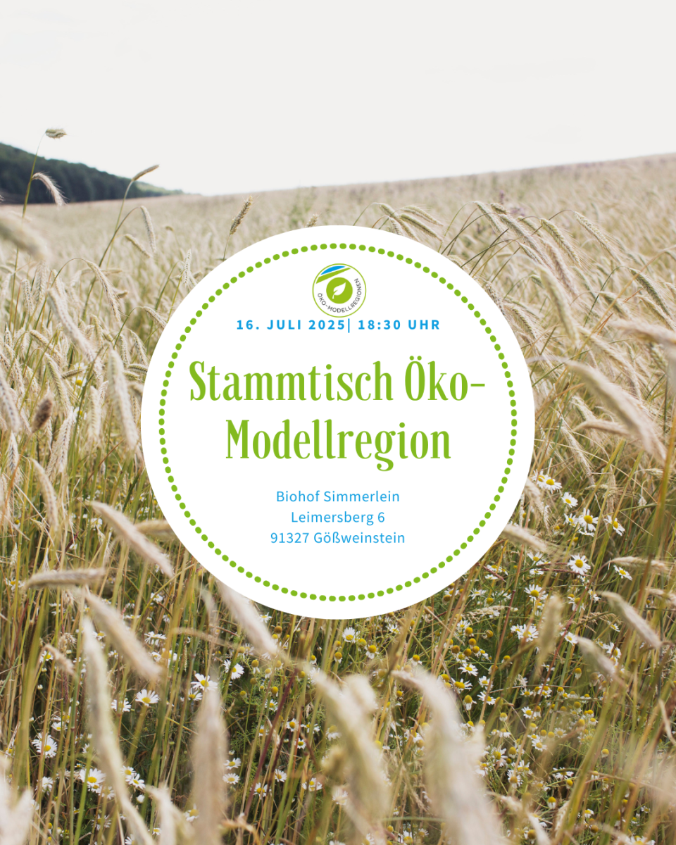 ÖMR Stammtisch am 16. Juli ab 18:30 Uhr in Leimersberg