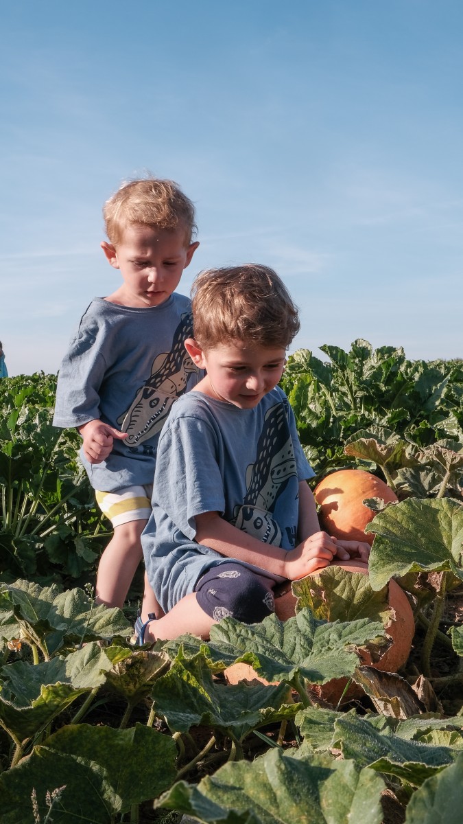 Zwei Kinder im Kürbisfeld