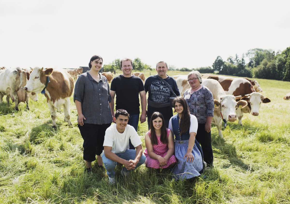 Die Familie Scheuerlein