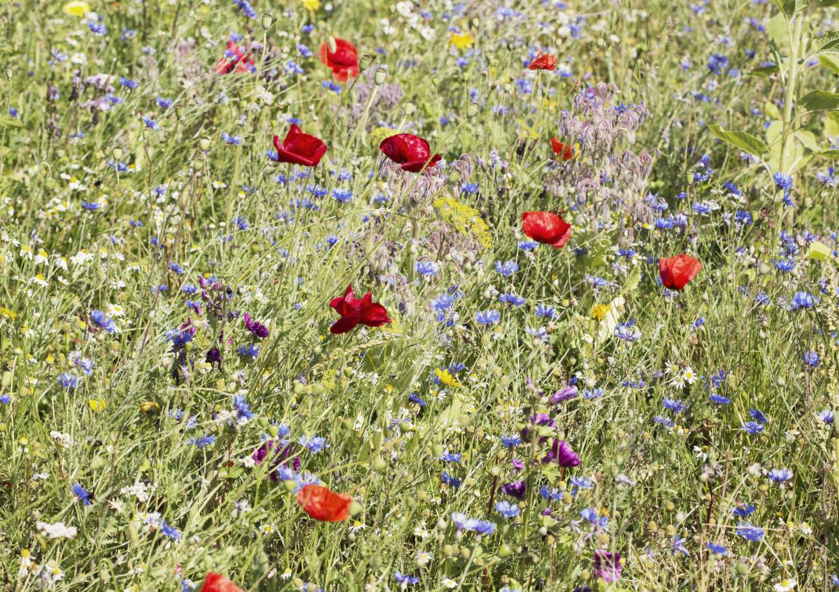 Bio-Bauernstammtisch