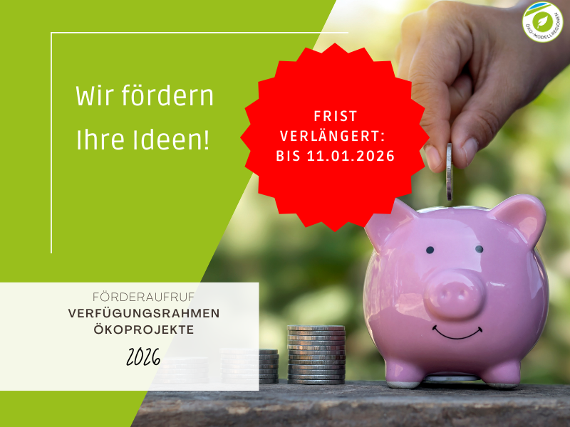 Verfügungsrahmen für Öko-Projekte 2026: Neue Antragsfrist