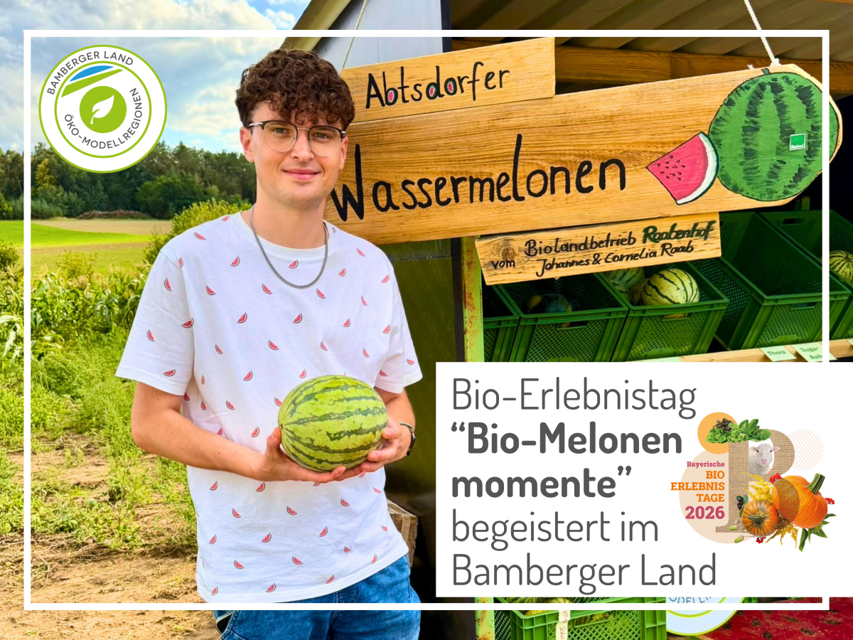 Person hält eine ganze Melone in der Hand