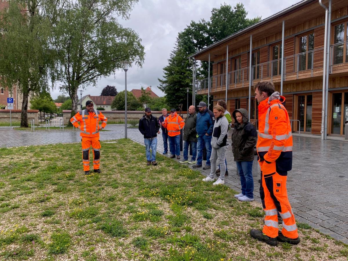 Bauhofleiter Tobias Maier (l.) erläutert die Entwicklung eines 2025 angelegten Magerrasens auf der Maibaumwiese in Fridolfing.