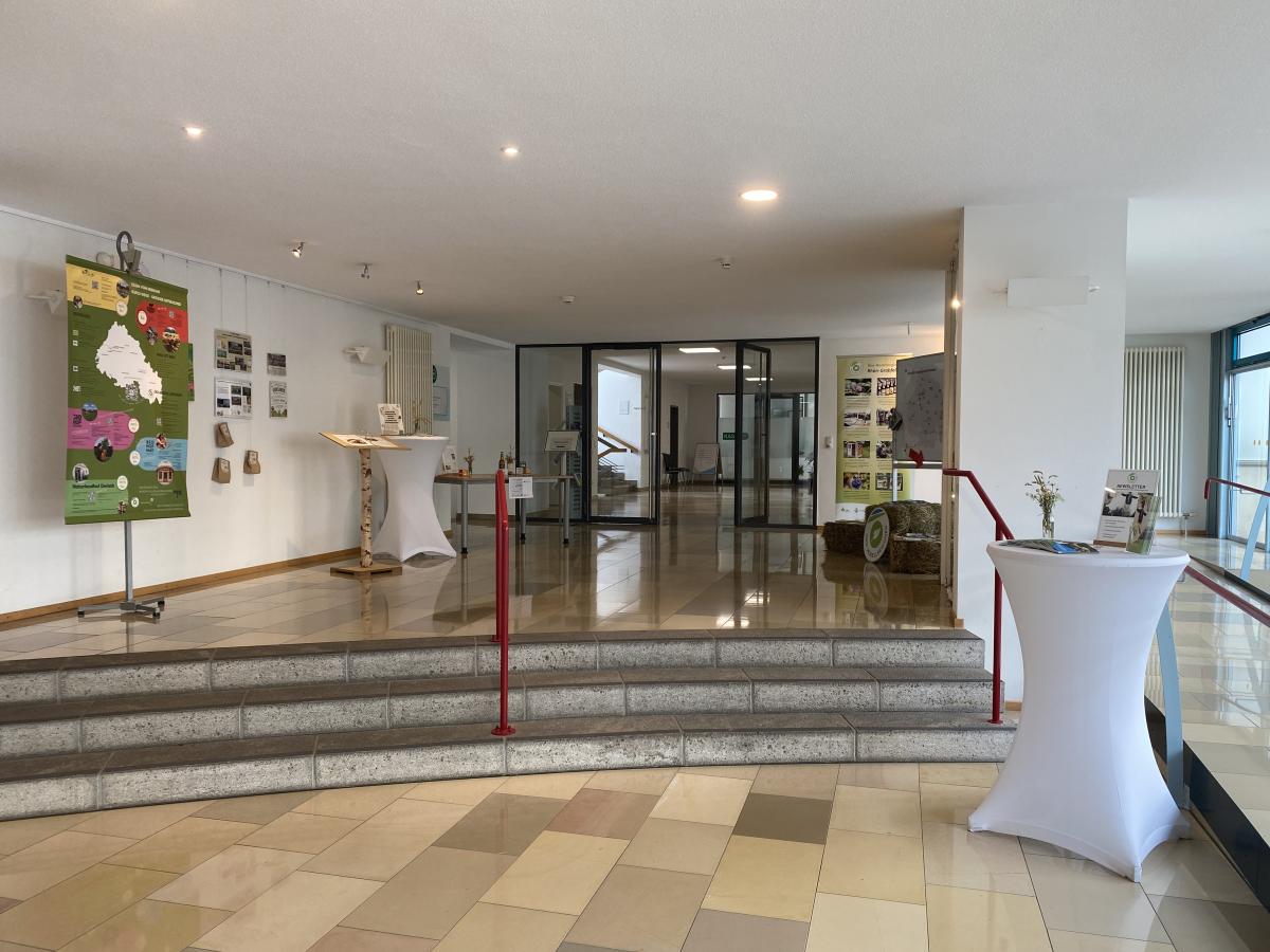 Ausstellung