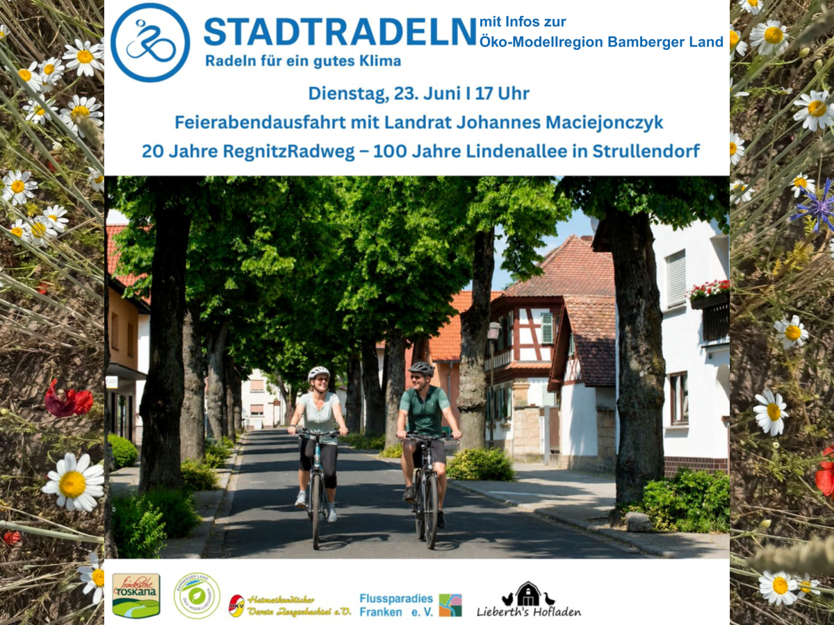 Radfahrende in einer Lindenallee
