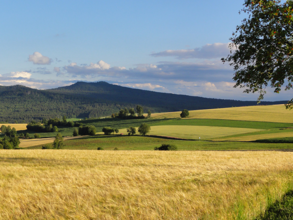 Kösseine im Fichtelgebirge