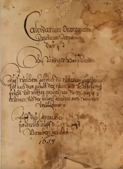 eine alte Buchseite mit verschnörkelter alter Schrift