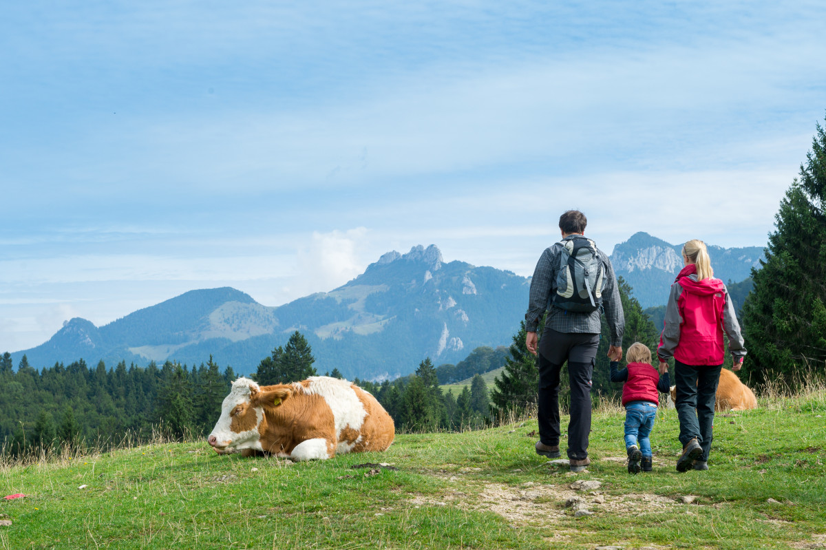 Eltern mit Kind wandern über eine Almwiese