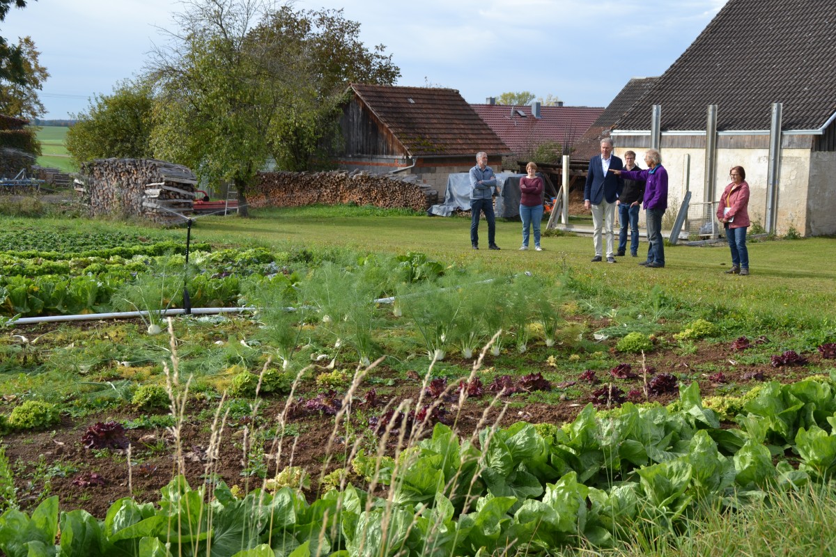 In Trockenzeiten nutzt der Demeterhof Staudigl künfitg eine Bewässerungsystem für den Gemüsebau.