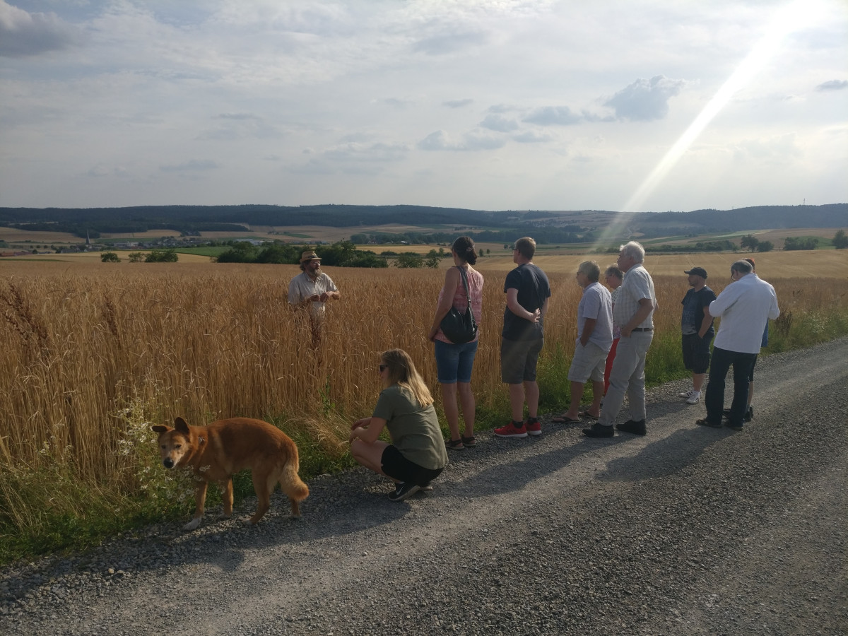 Bild Hofbesuch Schwalbenhof