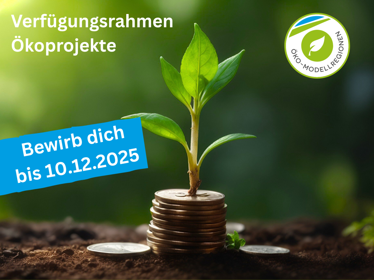Geld wächst