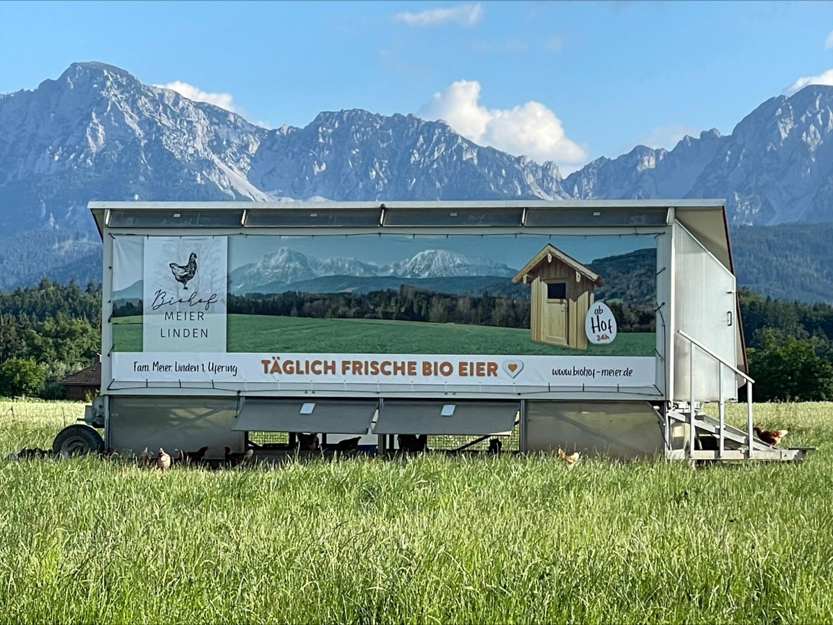 Täglich frische Bio-Eier einkaufen kann man von Familie Meier in Linden  bei Ufering.