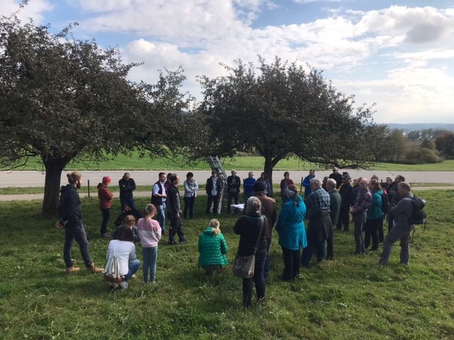 Im Kreis stehen die Teilnehmer der Obstwiesenführung unter Obstbäumen und hören Biobauer Anton Stief zu.