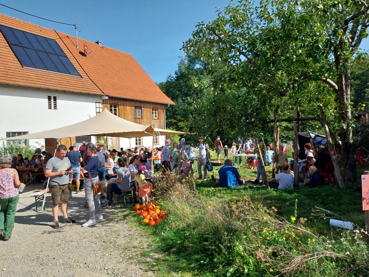 auf dem Bild sieht man viele Besucher auf dem Hoffest