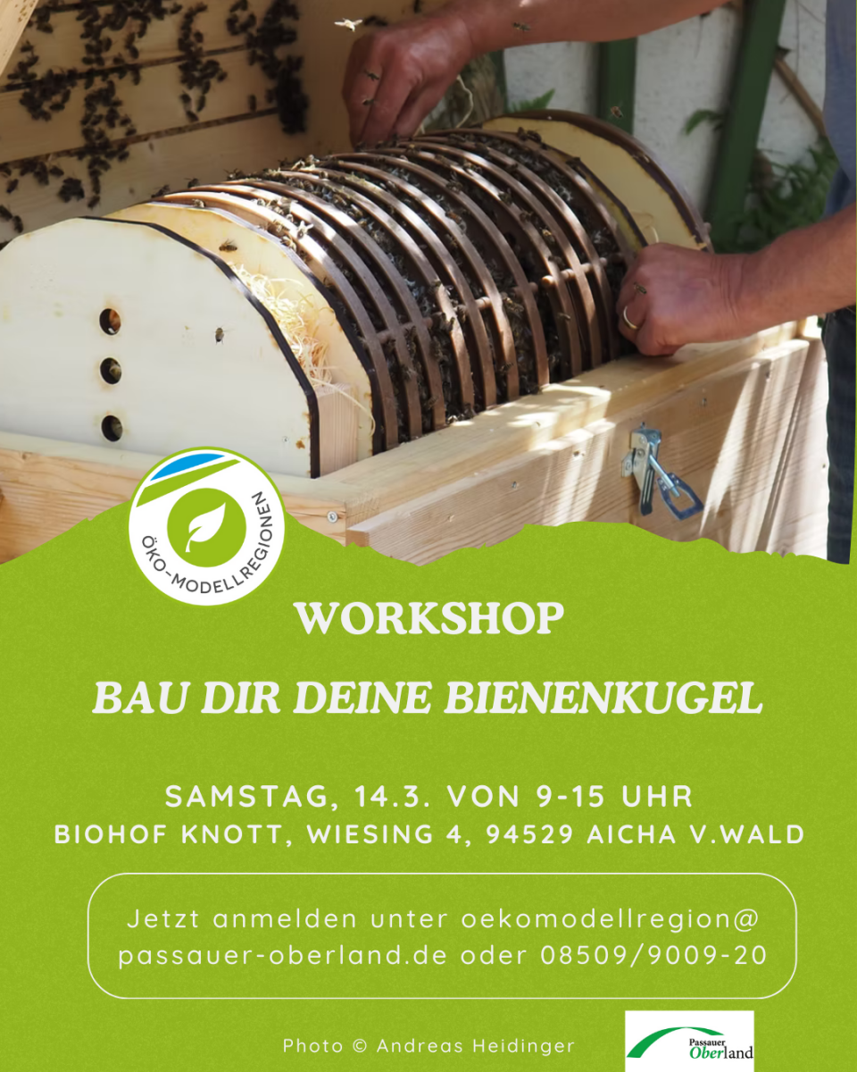 Workshop Bau dir deine Bienenkugel am 14.3. von 9 bis 15 Uhr
