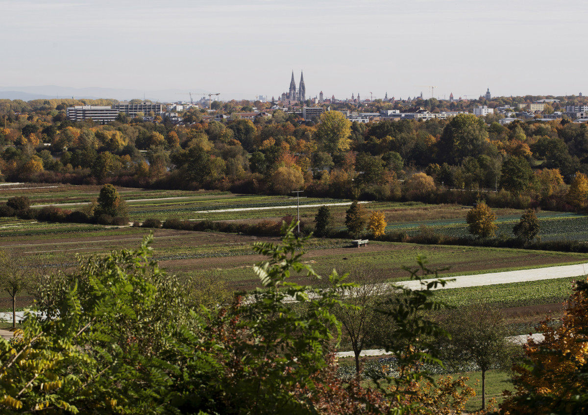 Regensburg Winzer