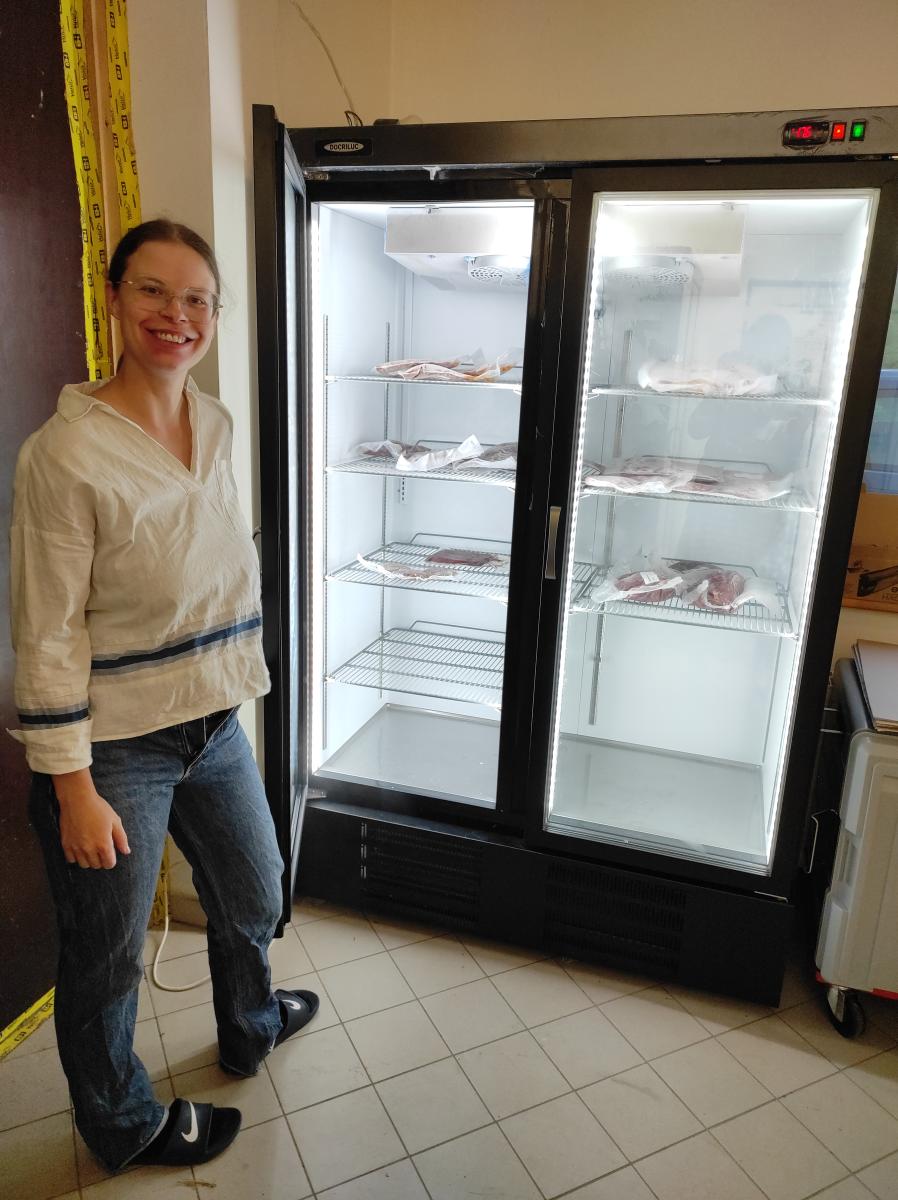 Schockfroster Schneider