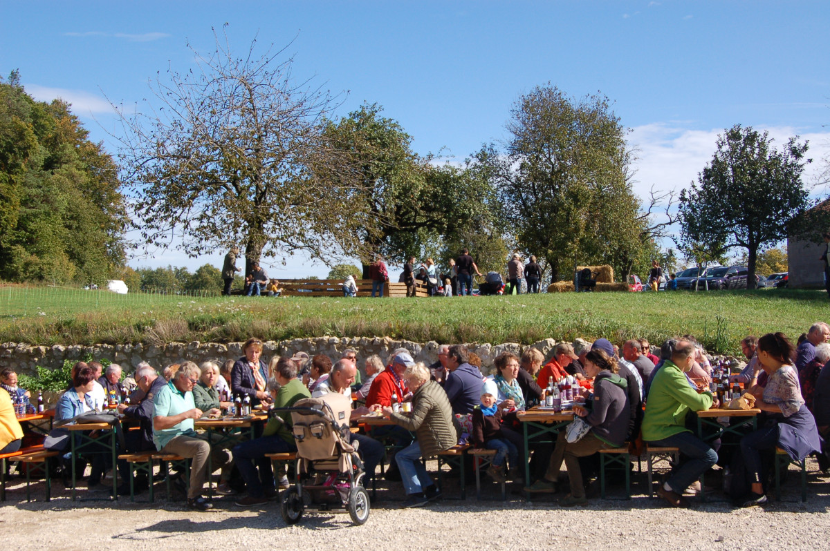 Hoffest Bio-Schafhof Ertel