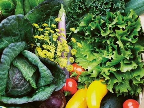 Verschiedene bunte Gemüse und Salat