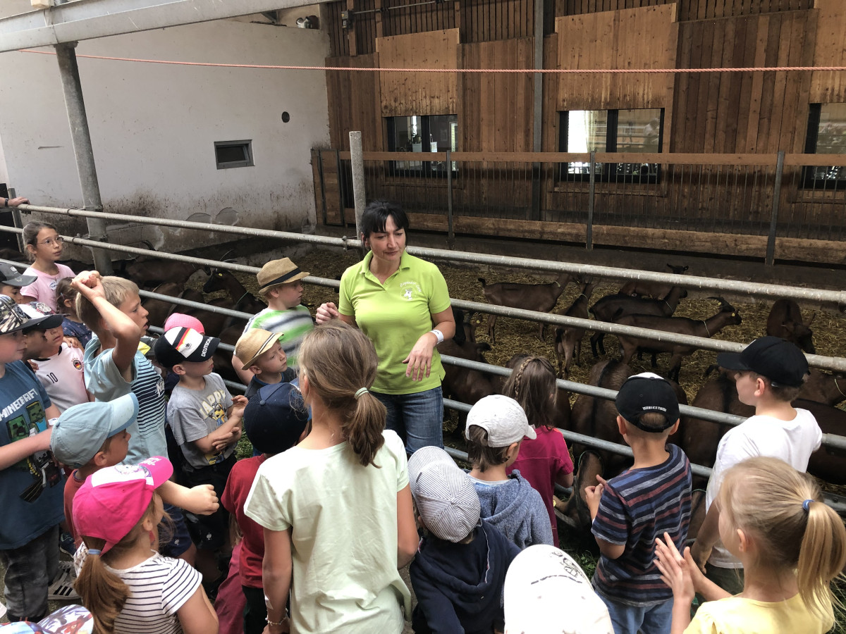 Ziegen füttern, Butter schütteln, aber auch in der Strohburg spielen und Floß fahren konnten die Kinder auf dem Ziegenhof von Maria Dess in Freystadt.