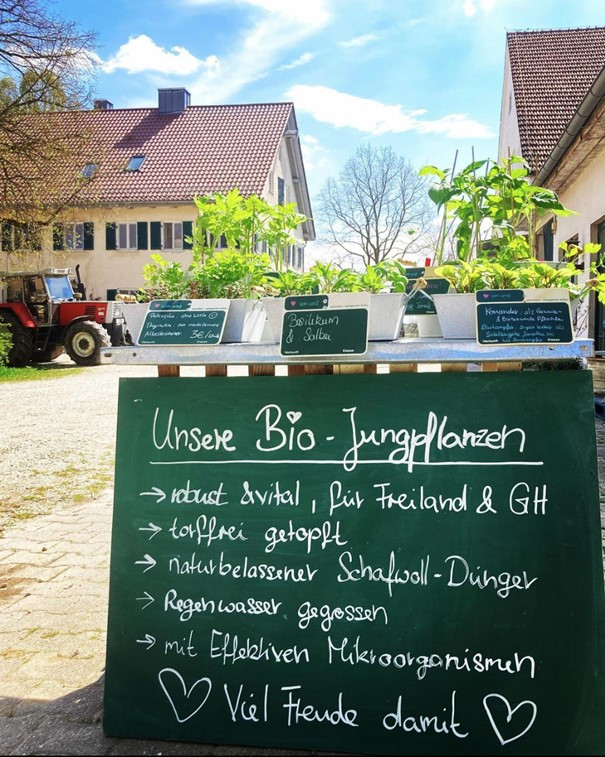 Angebotsschild Torffreie Jungpflanzen - Gartengemüse Grünspecht