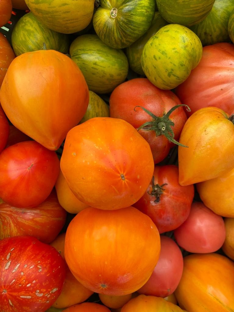 bunte Tomatenraritäten