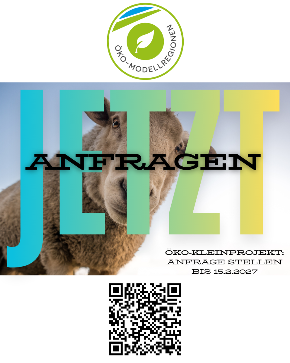 Jetzt anfragen!