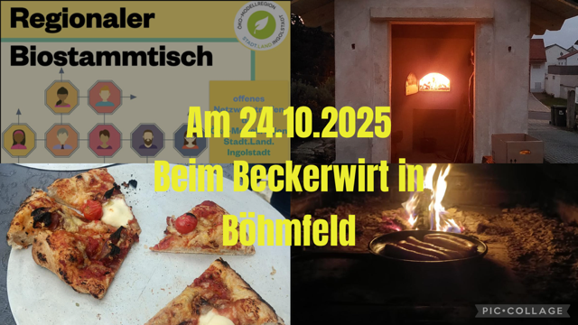 Ein Teller mit Pizza uns Pizza im Holzbackofen
