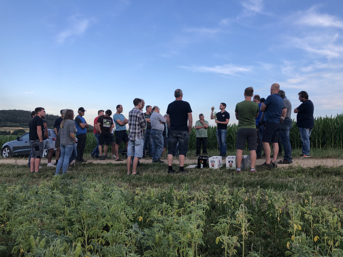 Nach Jahrzehnten des Rückzugs ist die Lupine nun wieder auf dem Vormarsch - worüber sich der Pflanzenbauexperte Manuel Deyerler (7. von rechts) freut. Auch Bio-Landwirt Roland Achhammer (5. von rechts) ist von der Hülsenfrucht überzeugt.