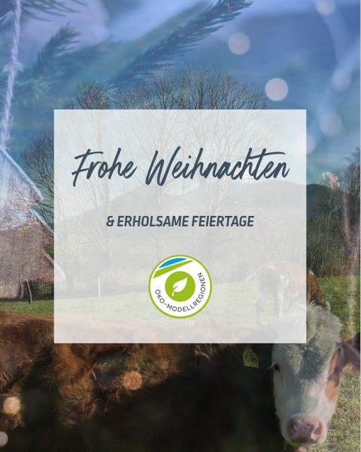 Frohe Weihnachten und ein guten Rutsch ins Jahr 2026!