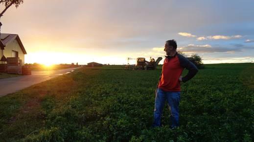 Ein Mann auf einem Gemüsefeld bei Sonnenuntergang