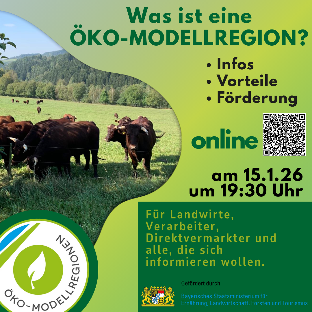 Einladung Online Infoveranstaltung 15.01.26