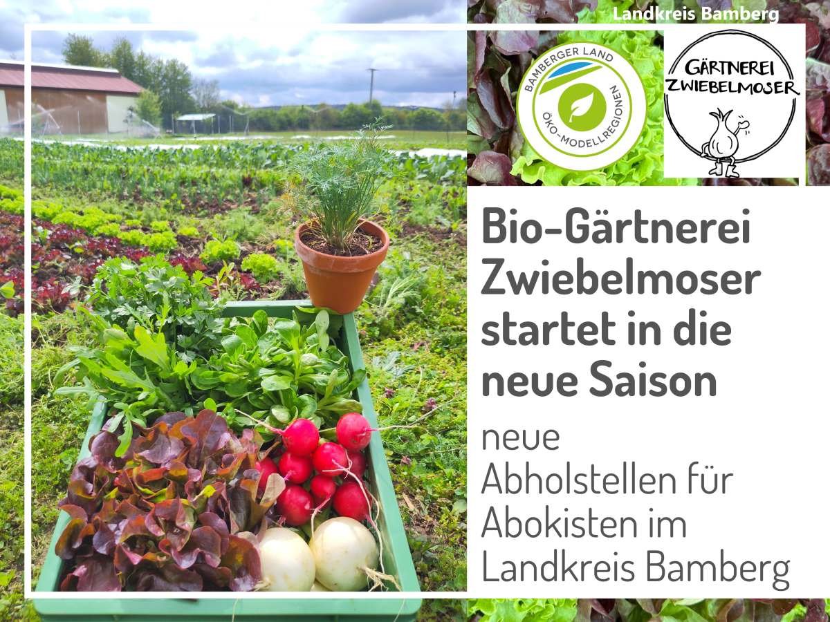 beispielhafte Abokiste aus dem Mai 2025 auf dem Feld