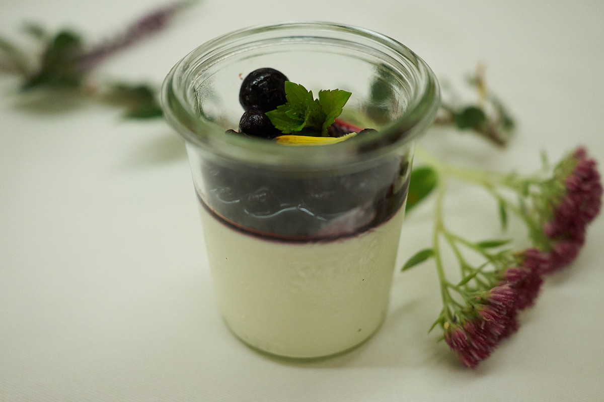 Zum Dessert: selbstgemachte Panna Cotta mit den heimischen Bio-Heidelbeeren