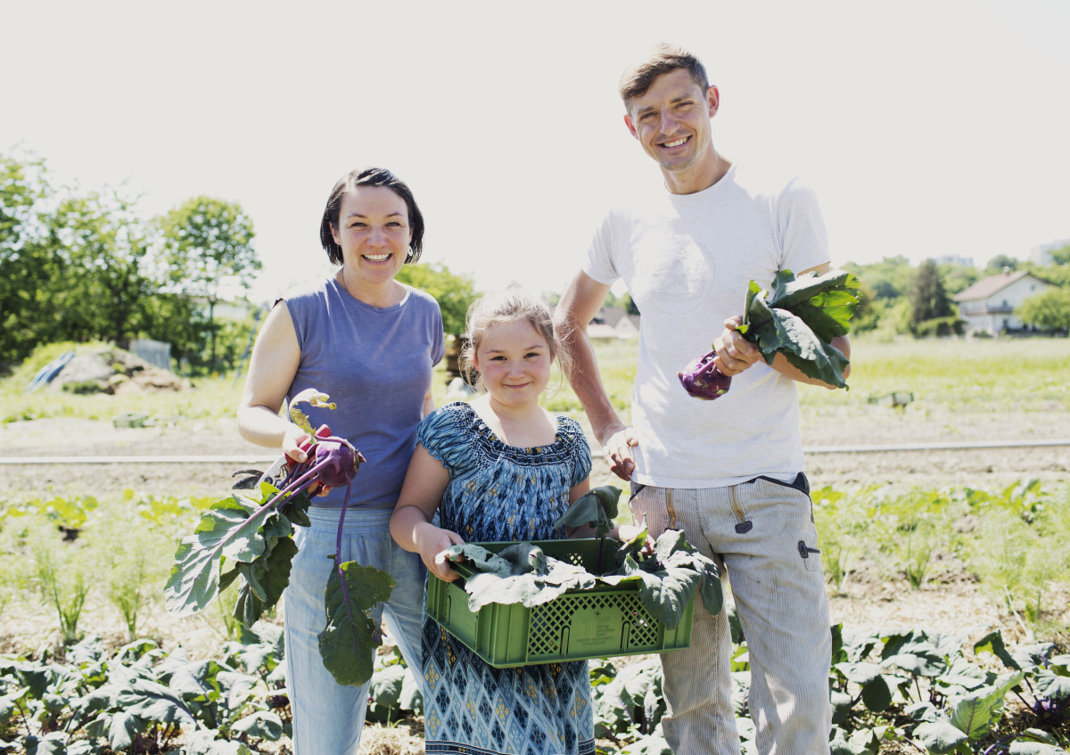 Familie Brunnhuber auf dem Feld